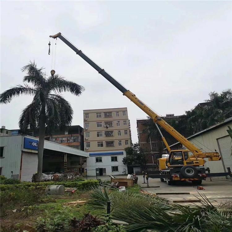 宁乡汽车吊出租多少钱？全面解析与市场行情